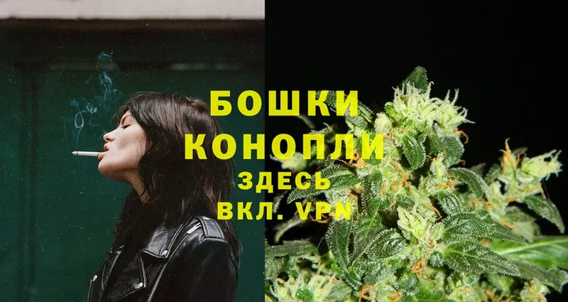 наркотики  Ревда  Канабис OG Kush 